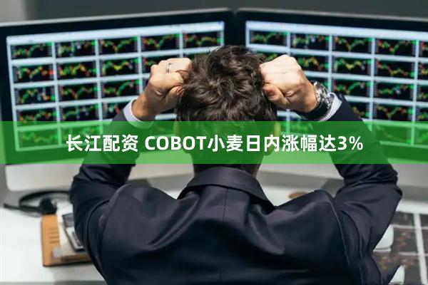 长江配资 COBOT小麦日内涨幅达3%