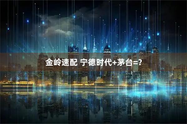 金岭速配 宁德时代+茅台=？
